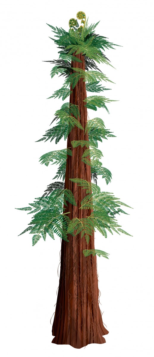 Prehistoric Tree